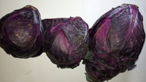 Purple Cabbage