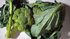 Broccoli is one of the green vegetables recommended