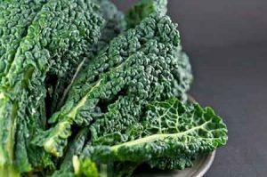 Kale green