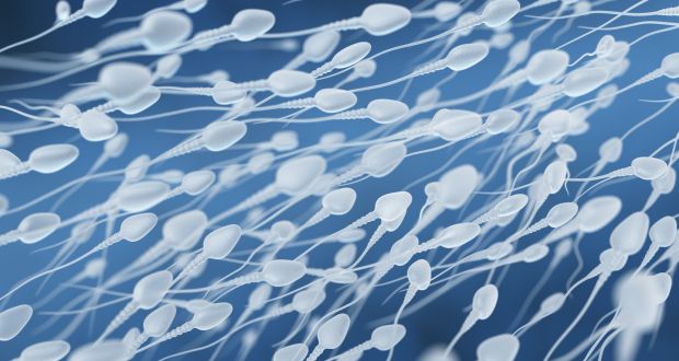 sperm leaks after sexual intercourse