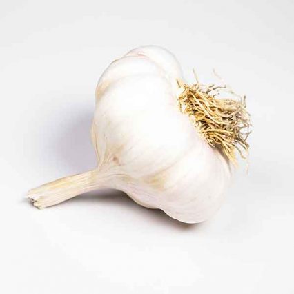 Garlic for ulcer treatment