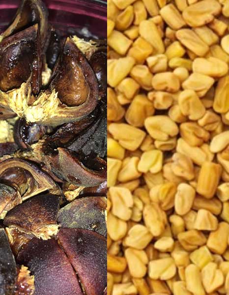 fenugreek and goron tula can treat malaria