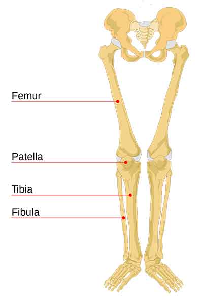 weat bone and foods to avoid