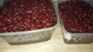 red kidney beans for christmas