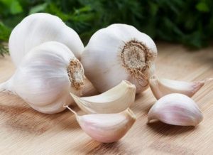 garlic as antivirus coronavirus covid19