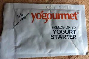 Yoghurt starter