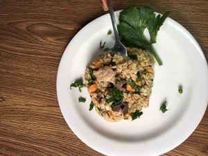 rolled oats fiesta for weight loss