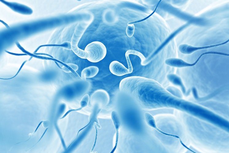 low sperm count, causes, symptoms and treatment. Boost sperm quality