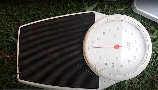 How to know your BMI if you want to Lose weight