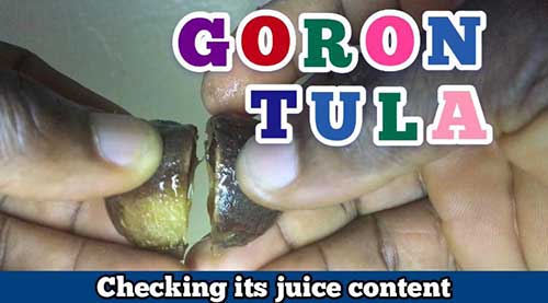 how to make goron tula juice