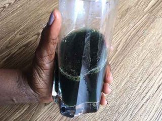 spirulina in a glass or warm water