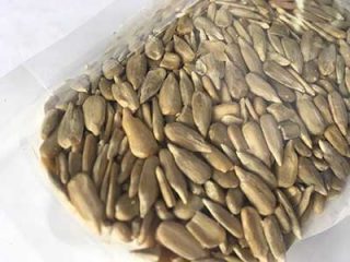 Sunflower Seeds Are Good for Hormone Balancing