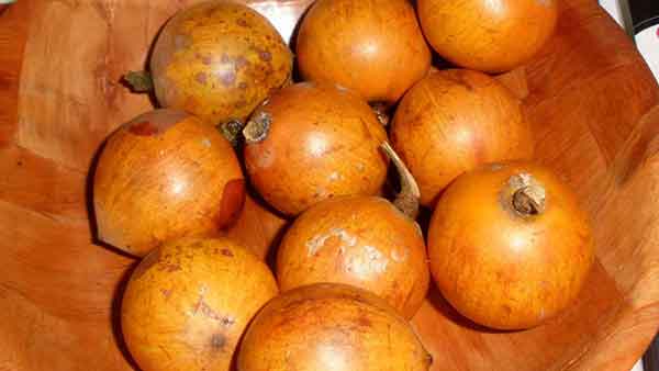 Agbalumo (African Star Apple): Nutrition Facts, Health Benefits, And More