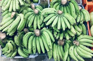 Health benefit of unripe banana