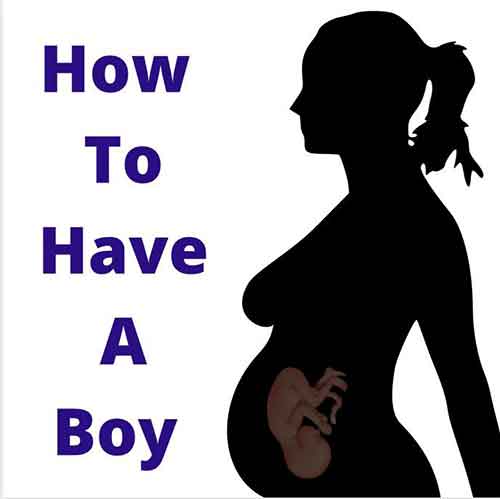 How to have a boy