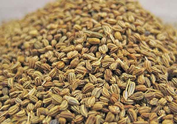 ajwain seeds