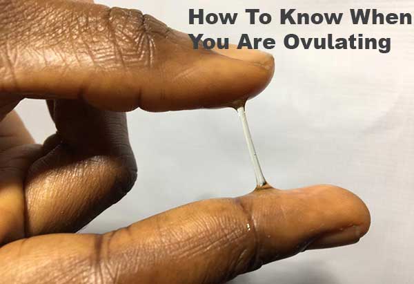 How to know if you are ovulating