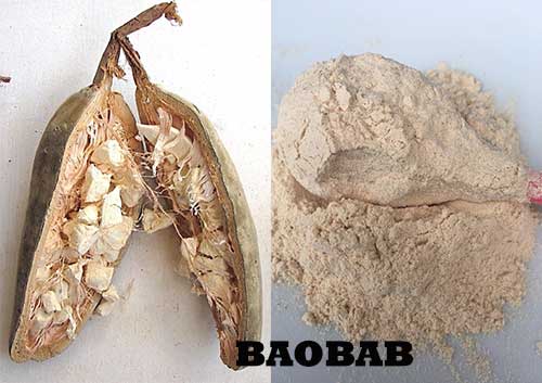 baobab health benefits and how to use baobab