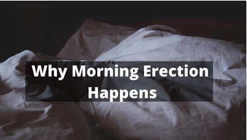 why men have erection in the morning