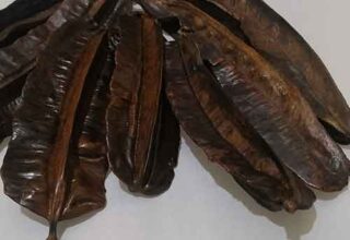 uhio health benefits in Aju Mbaise