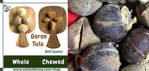 where to buy goron tula