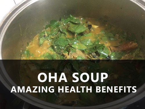 Health benefits of Oha leaf and soup