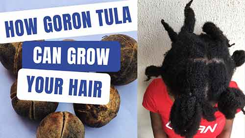 Goron tula as hair growth magic