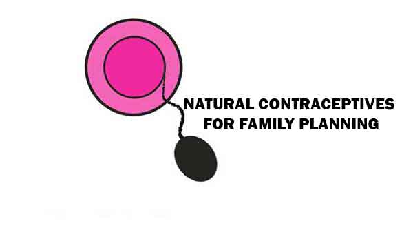 natural contraceptives for family planning