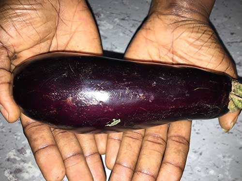 eggplant health benefits to women and men