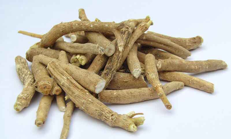 ashwagandha for fertility and local names. ashwagandha for low sperm count