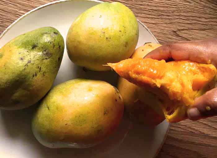 Alphonso, Sheri Mango Health Benefits