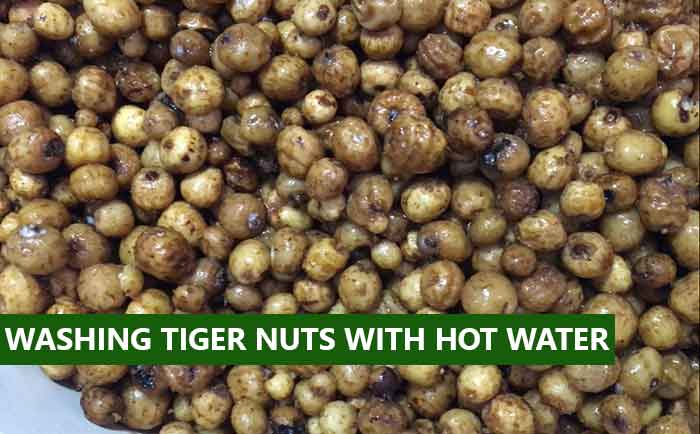 Washing Tiger Nuts With Hot Water How To wash Tiger nuts to make milk