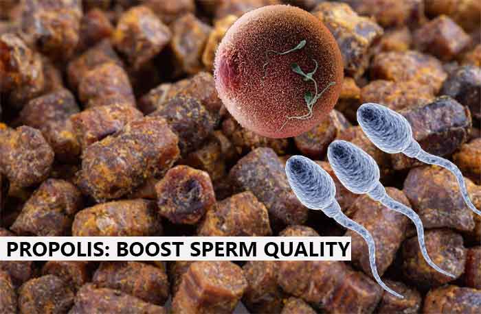 how to use propolis to boost sperm quality