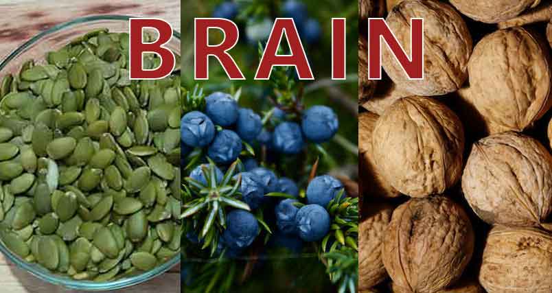 Foods That Boost Brain