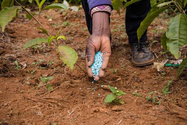 impact of food produced with fertiliser on fertility