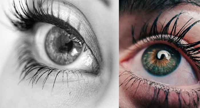 Natural ways to grow eyelashes