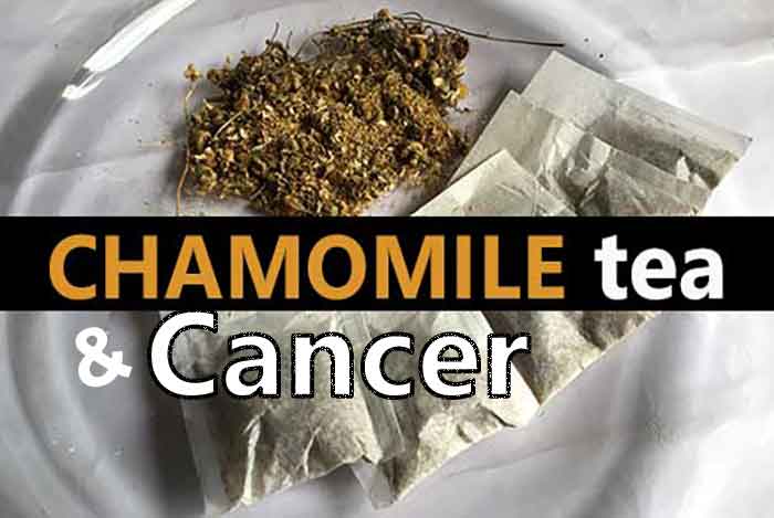 Chamomile Tea and Cancer